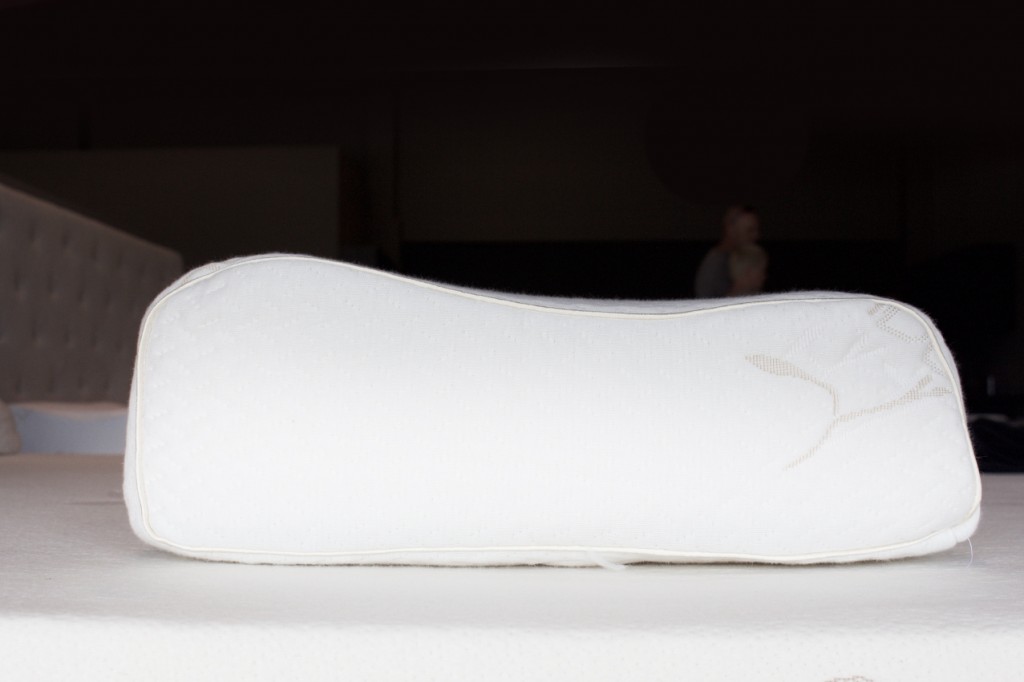 Adjustable Electric BedsContour Pillow Adjustable Electric Beds